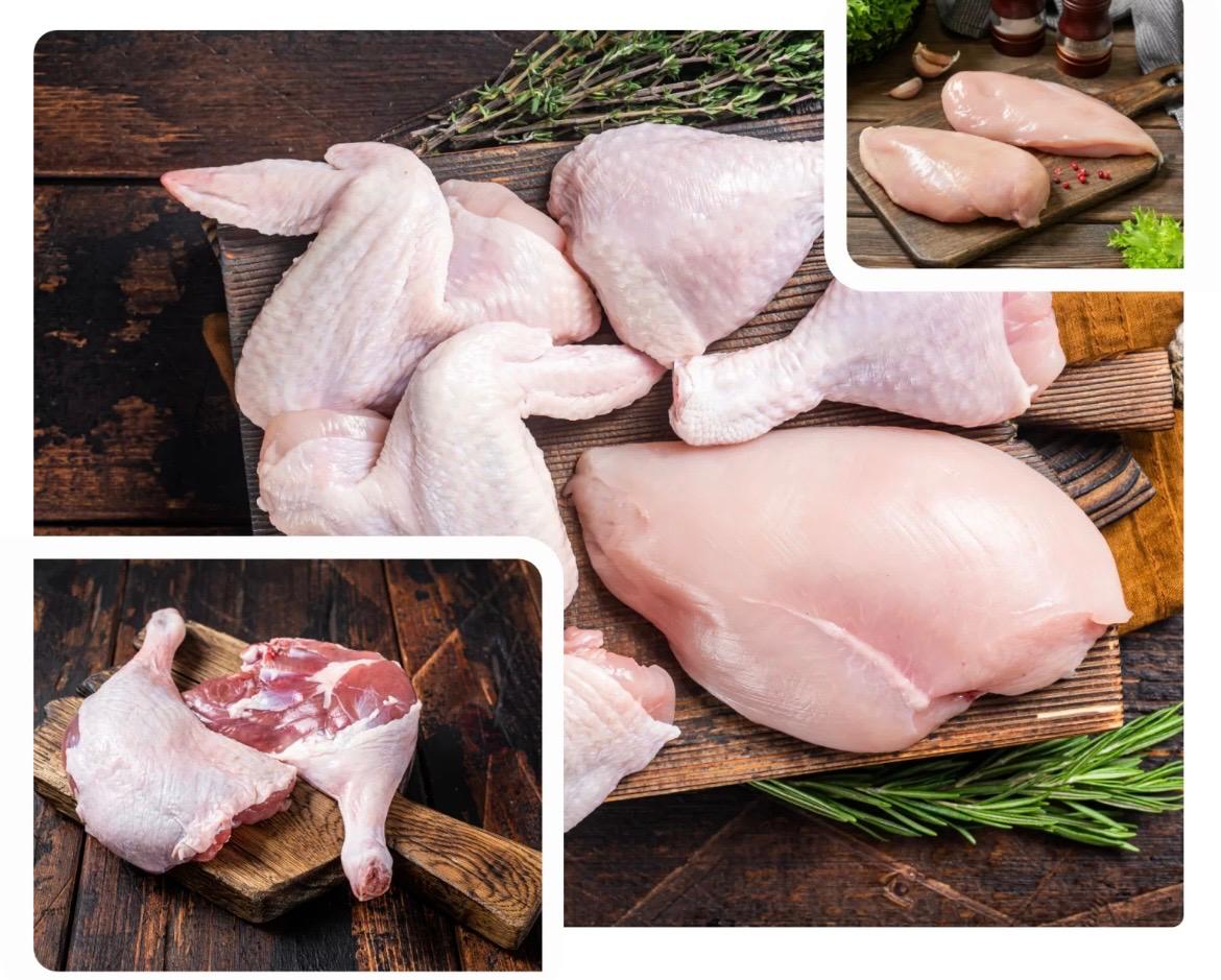 Poultry