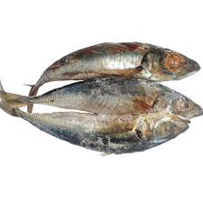 Horse mackerel/ kote