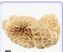 Honeycomb