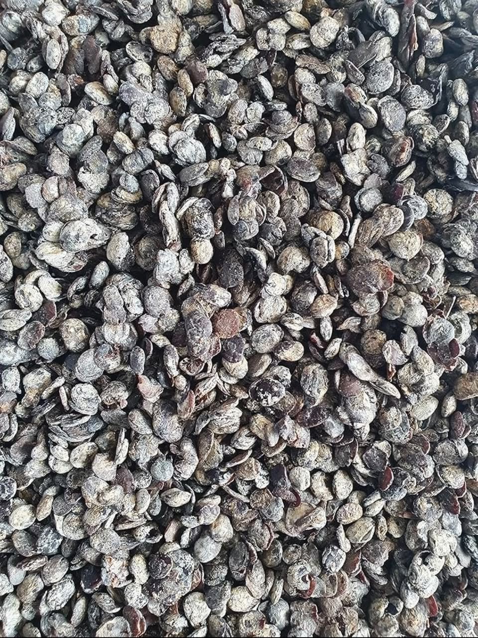 Fresh LocustBeans/Iru