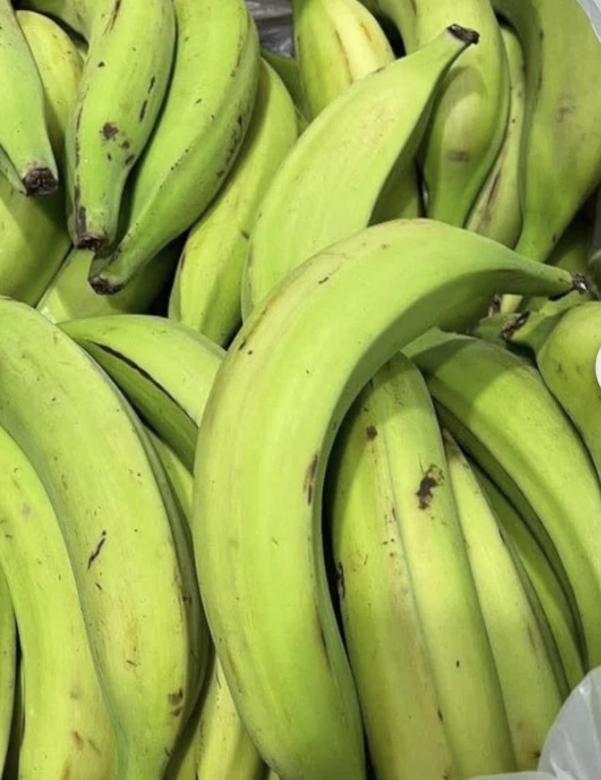 Unripe Plantain