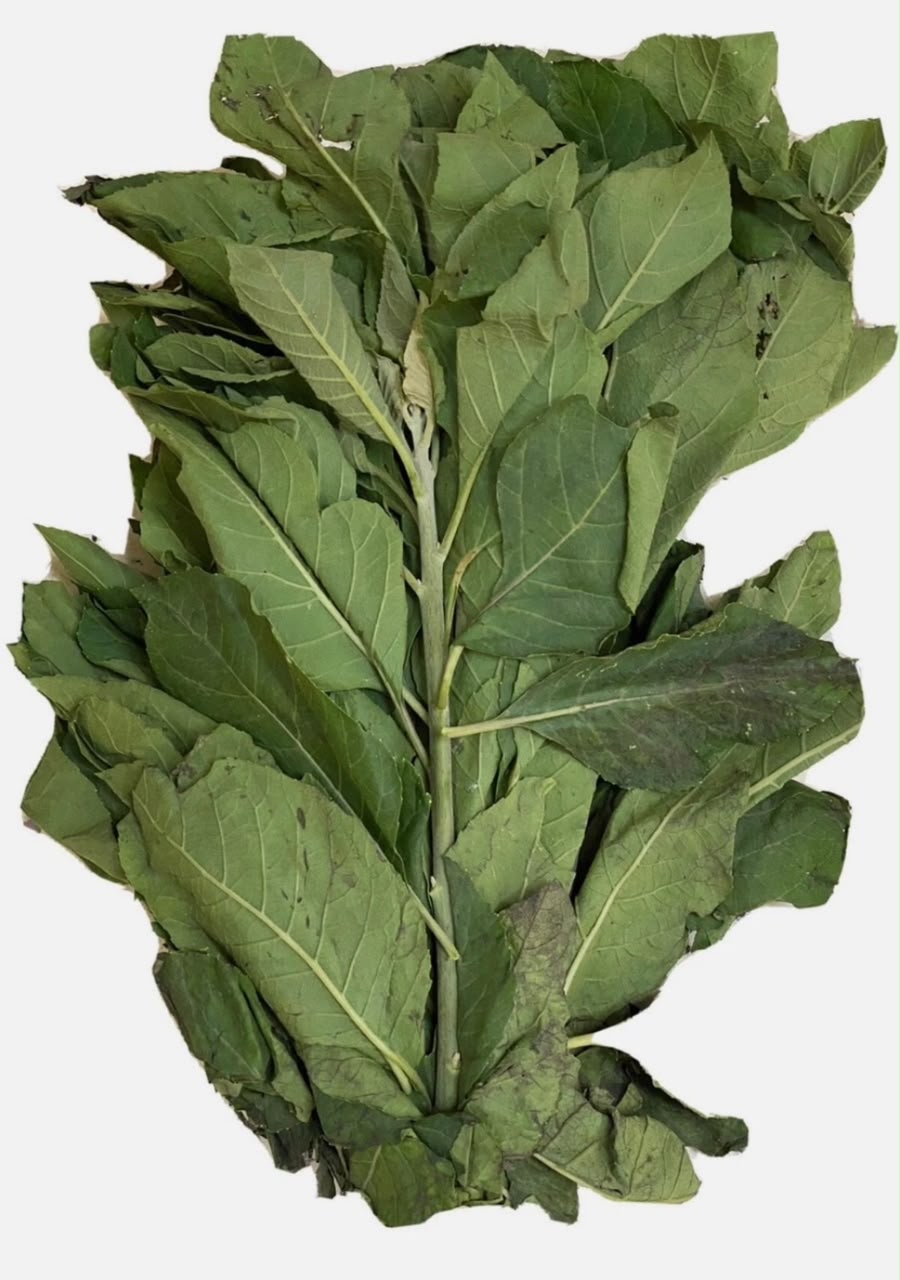 Bitter leaf (weekly preorder)