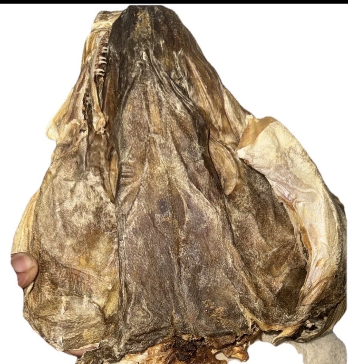 StockFish (Head)