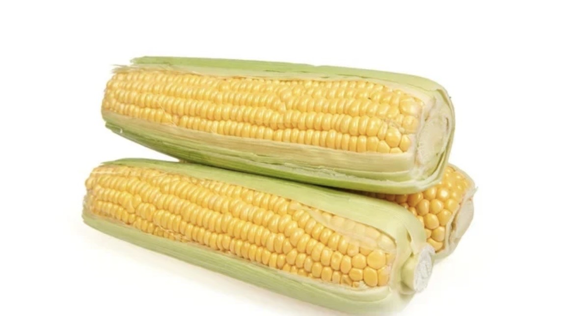 African corn/ maize on the cob (weekly pre order)