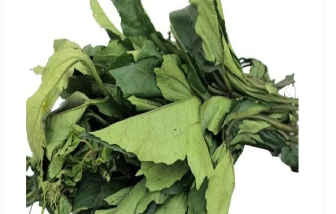 Ugu/ pumpkin leaves (weekly preorder)