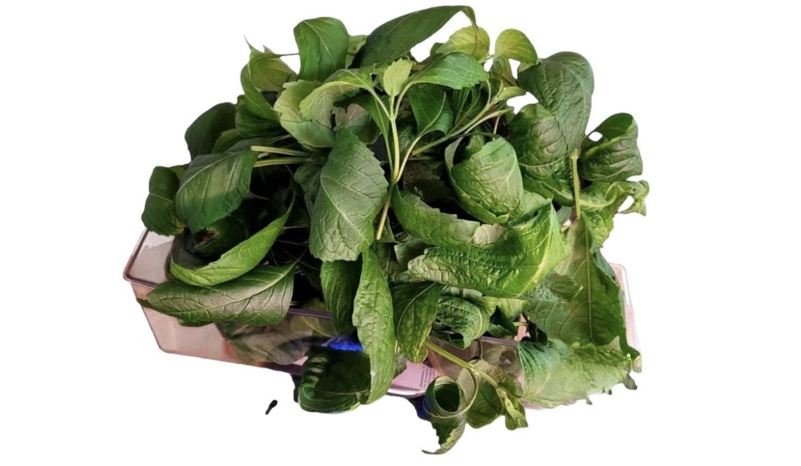 Fresh Scent Leaf