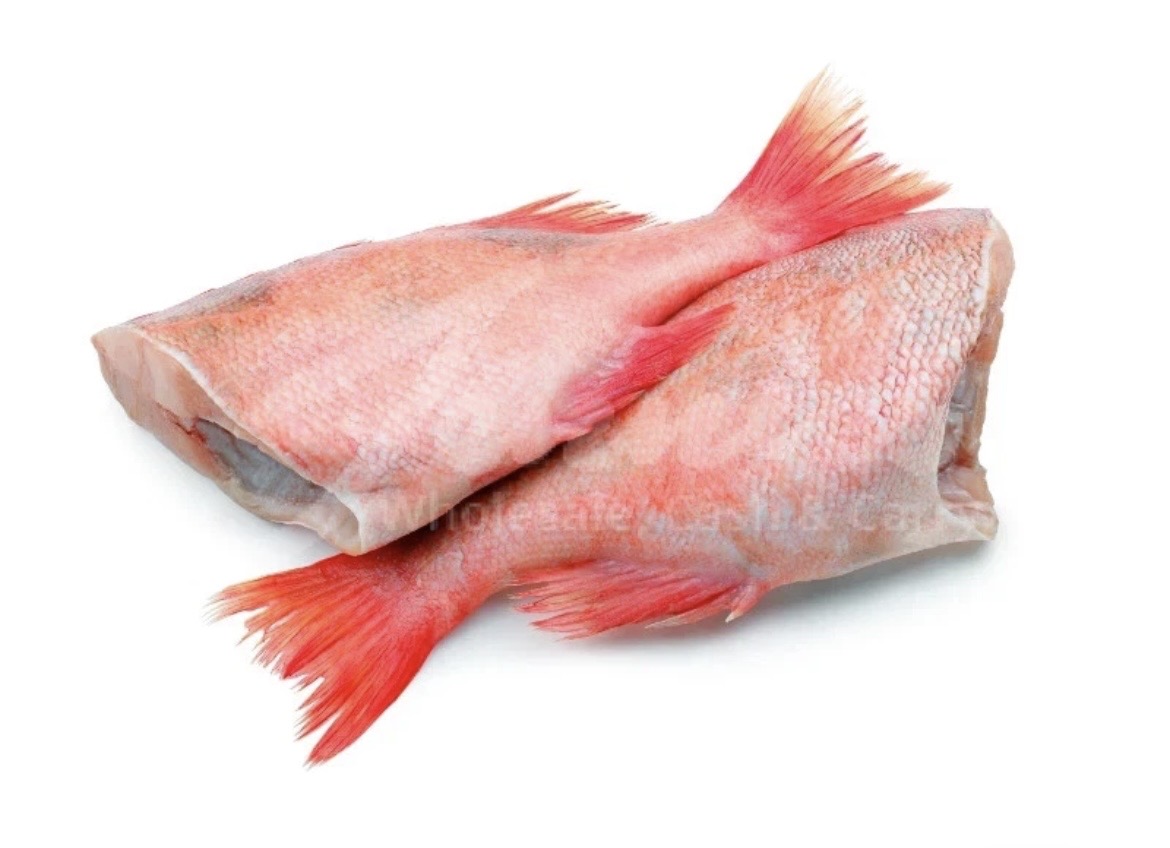 Headless Redfish