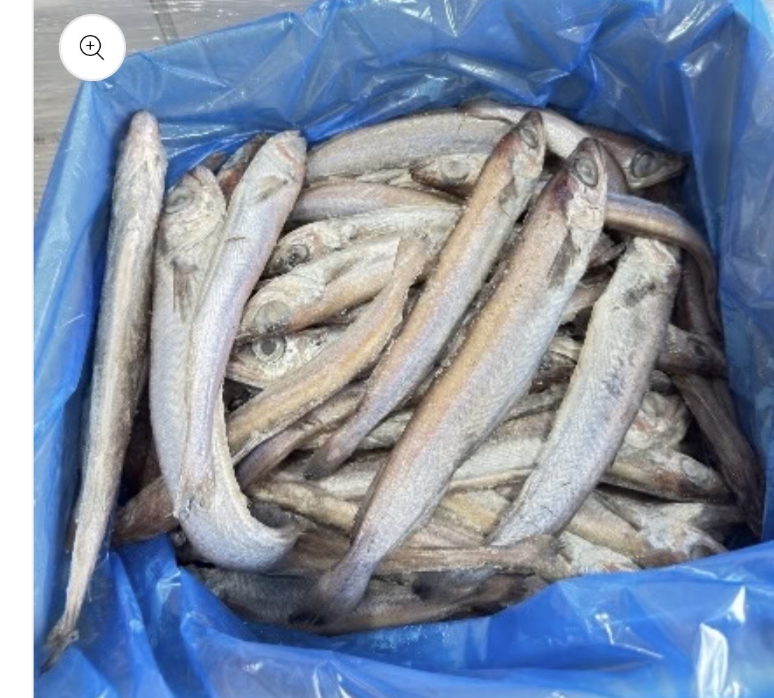 Whitening Fish / Fresh Panla